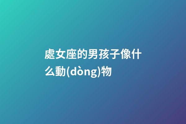 處女座的男孩子像什么動(dòng)物-第1張-星座運(yùn)勢(shì)-玄機(jī)派