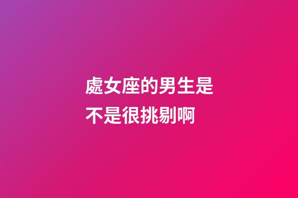 處女座的男生是不是很挑剔啊-第1張-星座運勢-玄機派