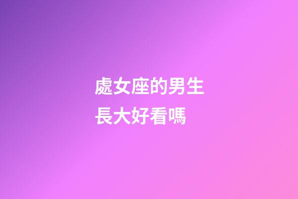 處女座的男生長大好看嗎-第1張-星座運勢-玄機派