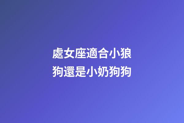 處女座適合小狼狗還是小奶狗狗-第1張-星座運勢-玄機派