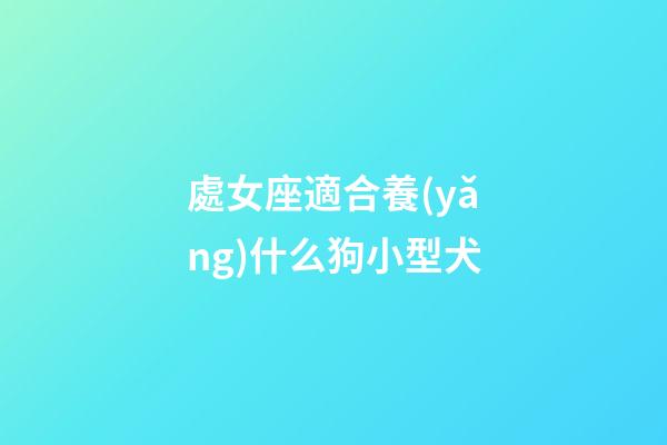 處女座適合養(yǎng)什么狗小型犬-第1張-星座運(yùn)勢(shì)-玄機(jī)派
