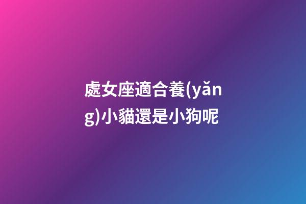 處女座適合養(yǎng)小貓還是小狗呢-第1張-星座運(yùn)勢(shì)-玄機(jī)派