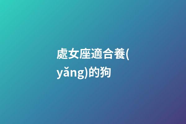 處女座適合養(yǎng)的狗-第1張-星座運勢-玄機派