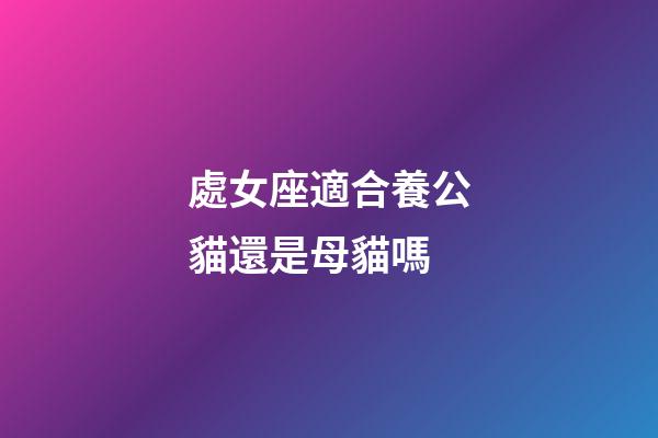 處女座適合養公貓還是母貓嗎-第1張-星座運勢-玄機派