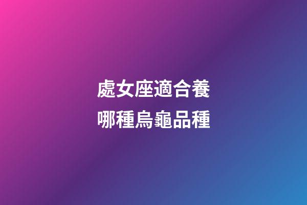 處女座適合養哪種烏龜品種-第1張-星座運勢-玄機派
