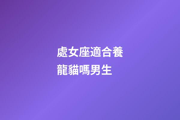 處女座適合養龍貓嗎男生