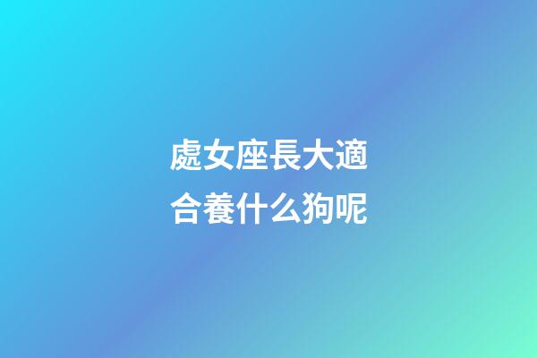 處女座長大適合養什么狗呢-第1張-星座運勢-玄機派