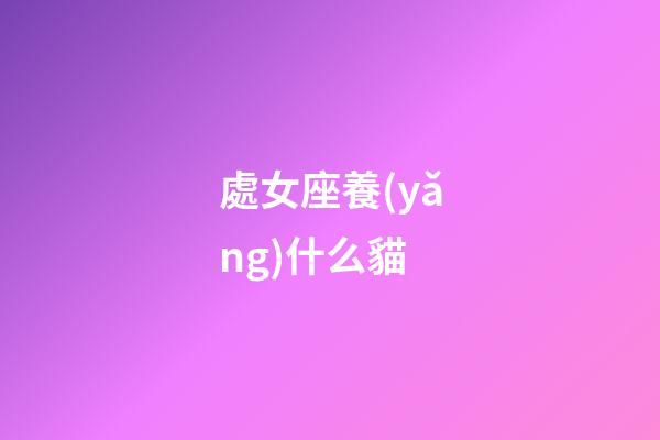 處女座養(yǎng)什么貓
