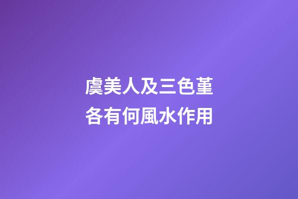 虞美人及三色堇各有何風水作用?