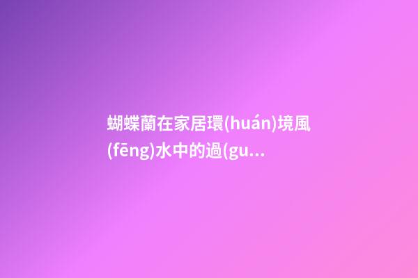 蝴蝶蘭在家居環(huán)境風(fēng)水中的過(guò)人之處