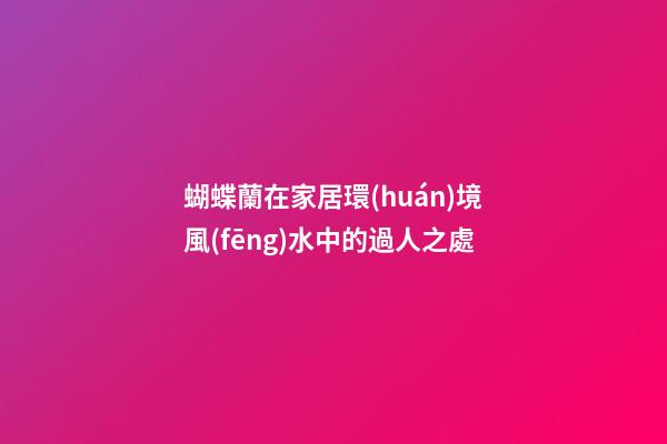 蝴蝶蘭在家居環(huán)境風(fēng)水中的過人之處