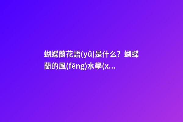 蝴蝶蘭花語(yǔ)是什么？蝴蝶蘭的風(fēng)水學(xué)應(yīng)用