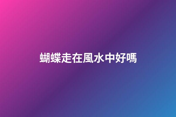 蝴蝶走在風水中好嗎