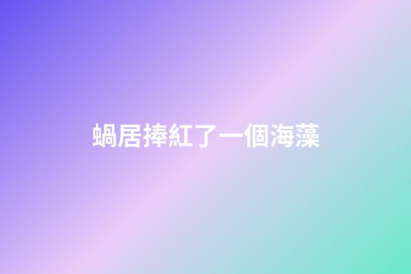 蝸居捧紅了一個海藻