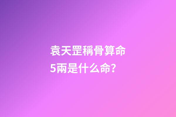 袁天罡稱骨算命5兩是什么命？
