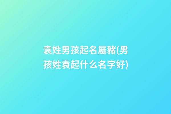 袁姓男孩起名屬豬(男孩姓袁起什么名字好)