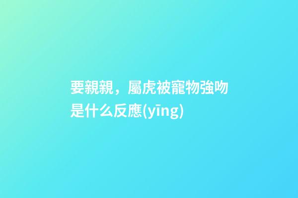 要親親，屬虎被寵物強吻是什么反應(yīng)