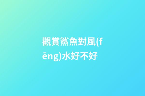 觀賞鯊魚對風(fēng)水好不好