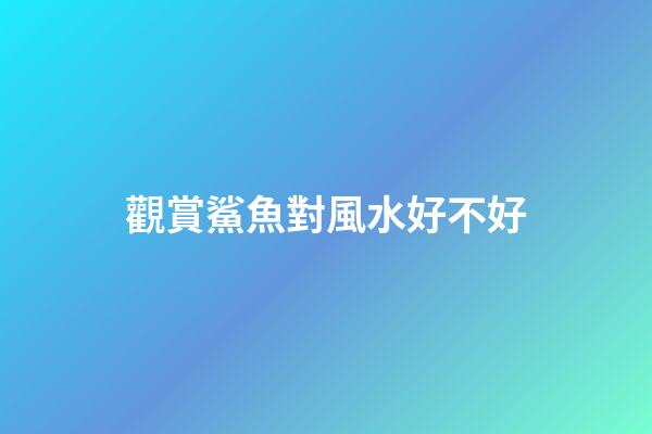 觀賞鯊魚對風水好不好