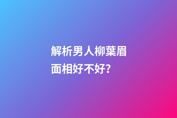 解析男人柳葉眉面相好不好？