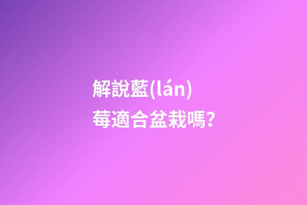 解說藍(lán)莓適合盆栽嗎？