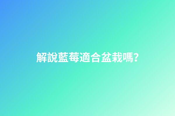 解說藍莓適合盆栽嗎？