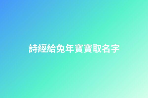 詩經給兔年寶寶取名字(詩經兔罝全文)-第1張-寶寶起名-玄機派
