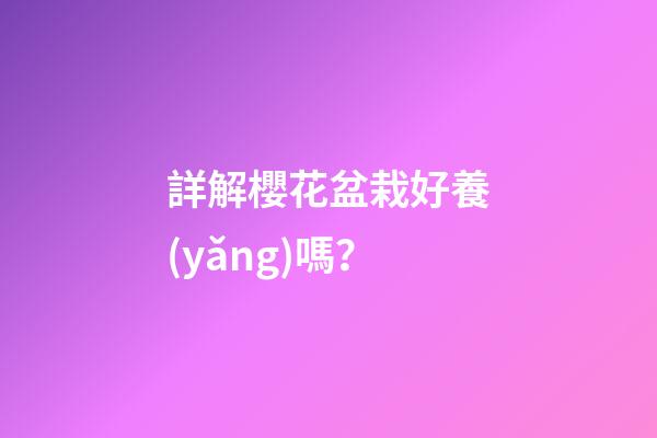 詳解櫻花盆栽好養(yǎng)嗎？