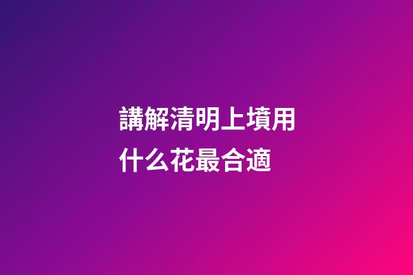 講解清明上墳用什么花最合適