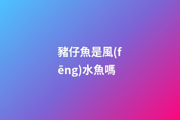 豬仔魚是風(fēng)水魚嗎