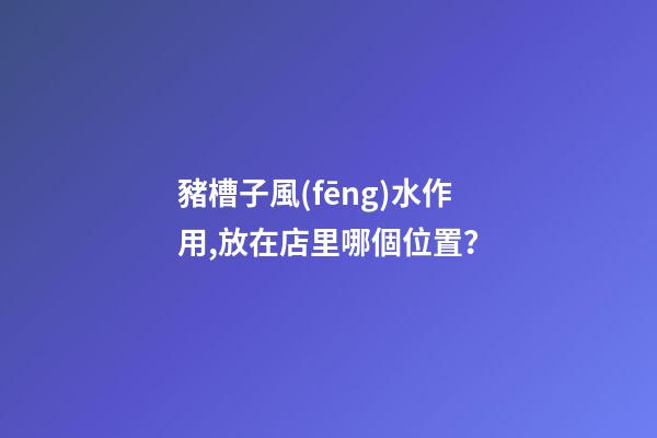 豬槽子風(fēng)水作用,放在店里哪個位置？