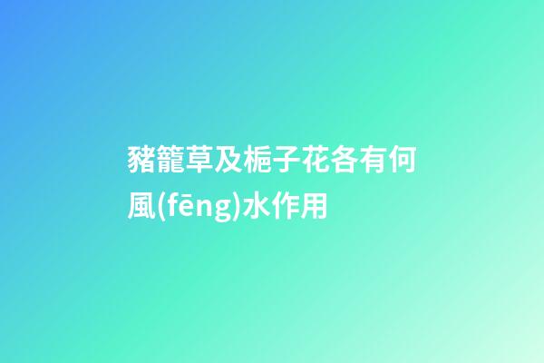 豬籠草及梔子花各有何風(fēng)水作用?