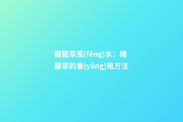 豬籠草風(fēng)水：豬籠草的養(yǎng)殖方法