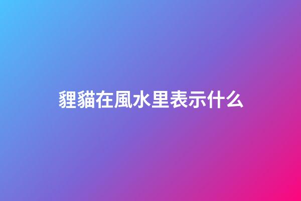 貍貓在風水里表示什么