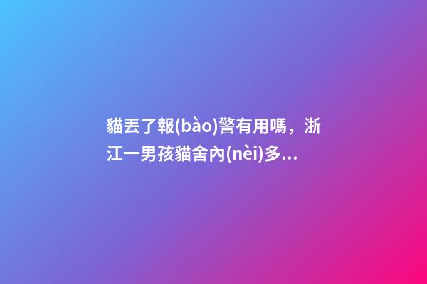 貓丟了報(bào)警有用嗎，浙江一男孩貓舍內(nèi)多次拋扔貓咪