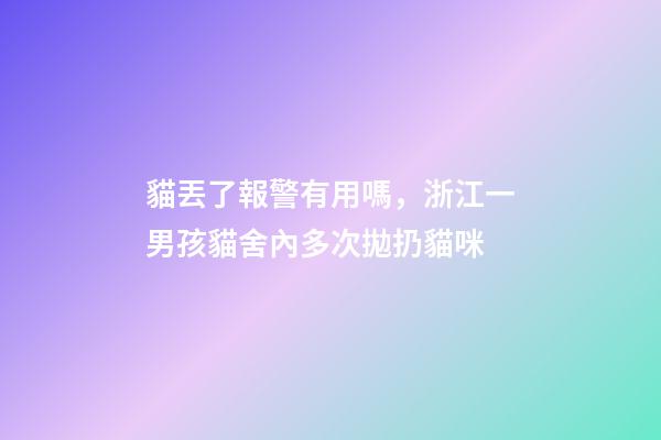 貓丟了報警有用嗎，浙江一男孩貓舍內多次拋扔貓咪-第1張-觀點-玄機派