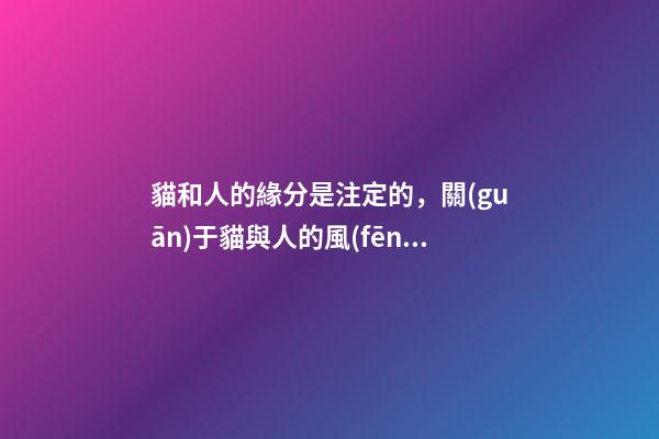 貓和人的緣分是注定的，關(guān)于貓與人的風(fēng)水