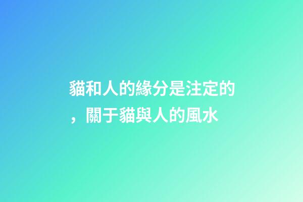貓和人的緣分是注定的，關于貓與人的風水