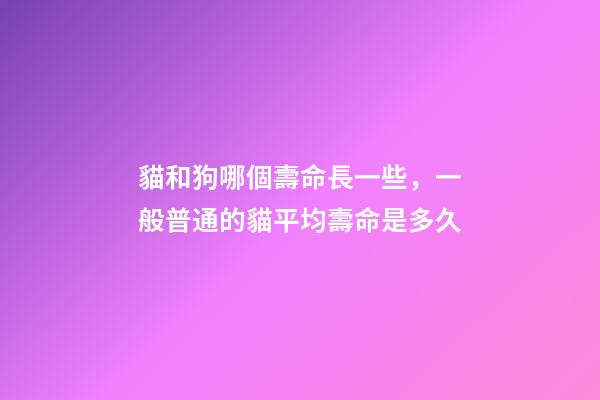 貓和狗哪個壽命長一些，一般普通的貓平均壽命是多久-第1張-觀點-玄機派