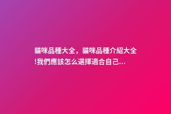 貓咪品種大全，貓咪品種介紹大全!我們應該怎么選擇適合自己的貓咪-第1張-觀點-玄機派