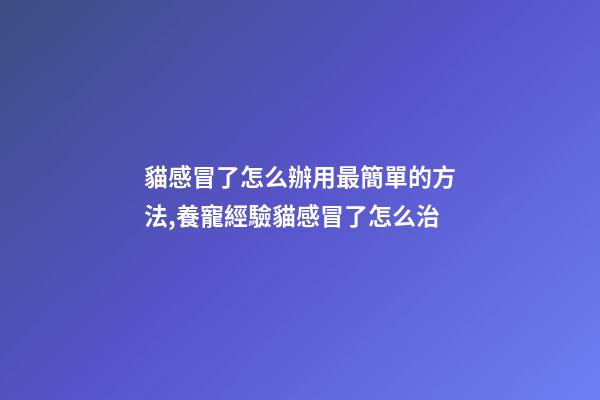 貓感冒了怎么辦用最簡單的方法,養寵經驗貓感冒了怎么治-第1張-觀點-玄機派