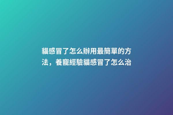 貓感冒了怎么辦用最簡單的方法，養寵經驗貓感冒了怎么治