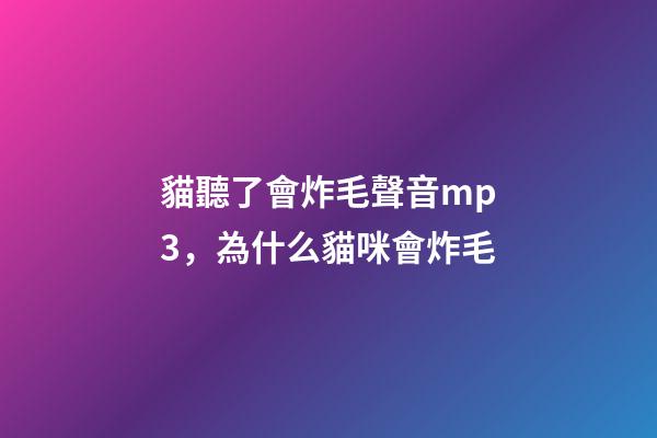 貓聽了會炸毛聲音mp3，為什么貓咪會炸毛-第1張-觀點-玄機派