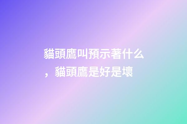 貓頭鷹叫預示著什么，貓頭鷹是好是壞