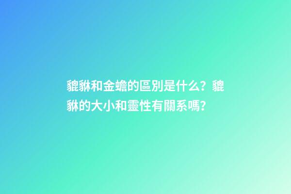 貔貅和金蟾的區別是什么？貔貅的大小和靈性有關系嗎？
