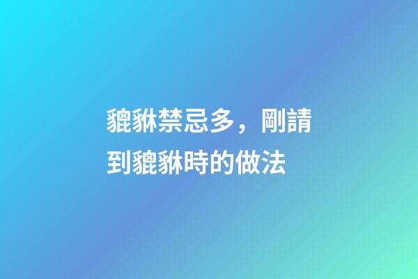 貔貅禁忌多，剛請到貔貅時的做法