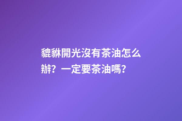 貔貅開光沒有茶油怎么辦？一定要茶油嗎？
