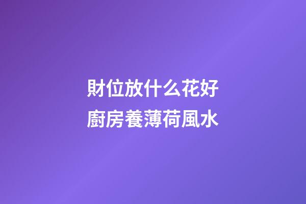 財位放什么花好廚房養薄荷風水