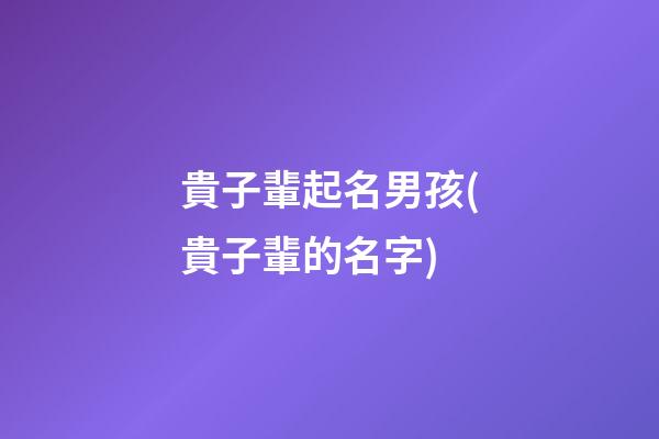 貴子輩起名男孩(貴子輩的名字)
