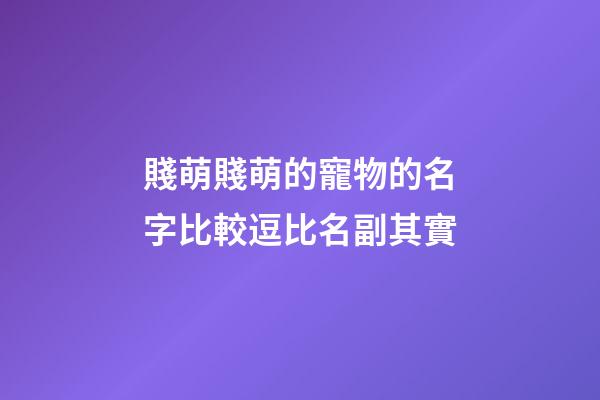 賤萌賤萌的寵物的名字比較逗比名副其實